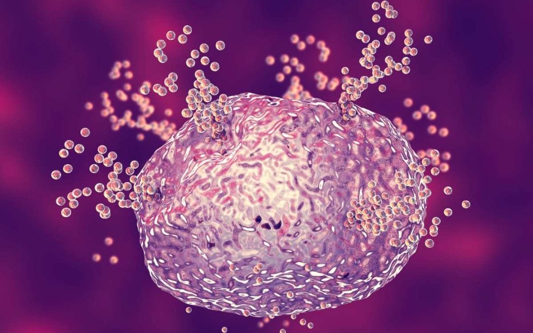 Mast Cell Activation Syndrome Treatment and Eating Disorders - An Integrated, Whole-Person Approach to Care